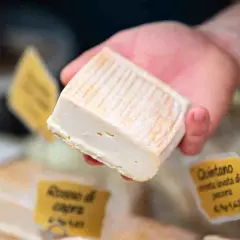 Un pezzo di formaggio morbido, forse perché si chiama stracchino, tenuto in mano. Sullo sfondo, altre forme di formaggio e cartellini gialli.