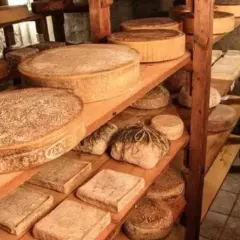 Formaggi stagionati su scaffali di legno, alcuni rotondi, altri rettangolari. Si percepisce la cura nella produzione del latte crudo.