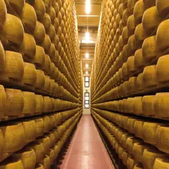 Corridoio infinito di forme di formaggio giallo, in attesa della stagionatura. Un'immagine che evoca sapori e tradizione.