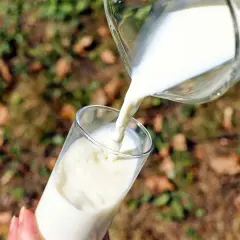 Versando latte in un bicchiere, un gesto che ricorda la scissione lattosio per chi ha intolleranze.