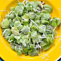 Fave fresche e ricotta grattugiata, un piatto primaverile colorato e gustoso.