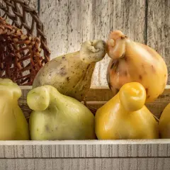 Formaggi a pera, tra cui una caciotta affumicata, in una cassetta di legno e un cestino intrecciato.