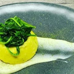 Flan di pecorino giallo, sormontato da spinaci freschi, su una crema bianca e polvere verde su piatto scuro.