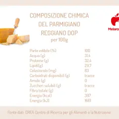 Composizione chimica del Parmigiano Reggiano DOP per 100g: 397 kcal. Dati nutrizionali completi per un alimento gustoso.