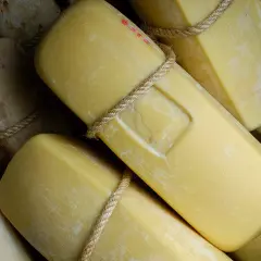 Formaggi siciliani stagionati, legati con corda, pronti per essere gustati.