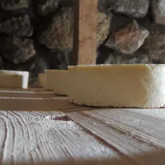 Formaggi freschi in fase di produzione, riposano su assi di legno grezzo. La pietra grezza fa da sfondo a questo momento di attesa.