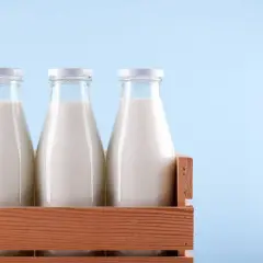 Tre bottiglie di latte fresco in una cassa di legno, pronte per essere pastorizzate.