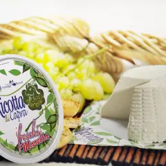 Formaggi di capra: ricotta fresca e un formaggio a forma di cono, accompagnati da uva e crostini.