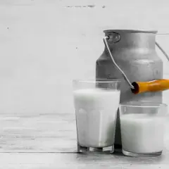 Due bicchieri di latte di pecora, con un vecchio bidone di metallo sullo sfondo. Ideale per chi cerca un'alternativa al latte vaccino, con meno lattosio.