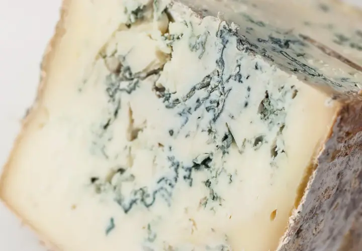 Un pezzo di taleggio con venature di muffa blu-verde che creano un disegno unico.