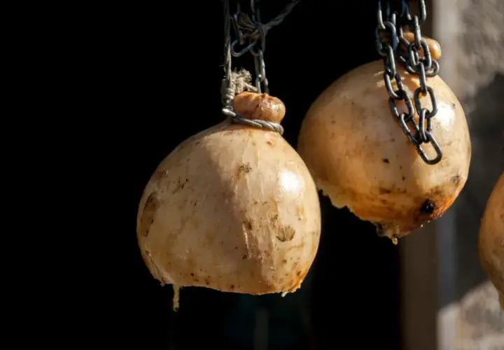 Forme di caciocavallo appese a catene. La forma a pera e il modo di legatura spiegano perchè si chiama caciocavallo.