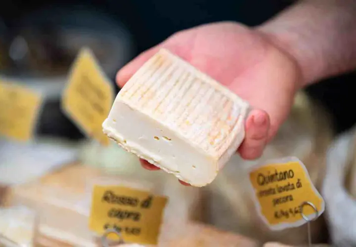 Un pezzo di formaggio morbido, forse perché si chiama stracchino, tenuto in mano. Sullo sfondo, altre forme di formaggio e cartellini gialli.