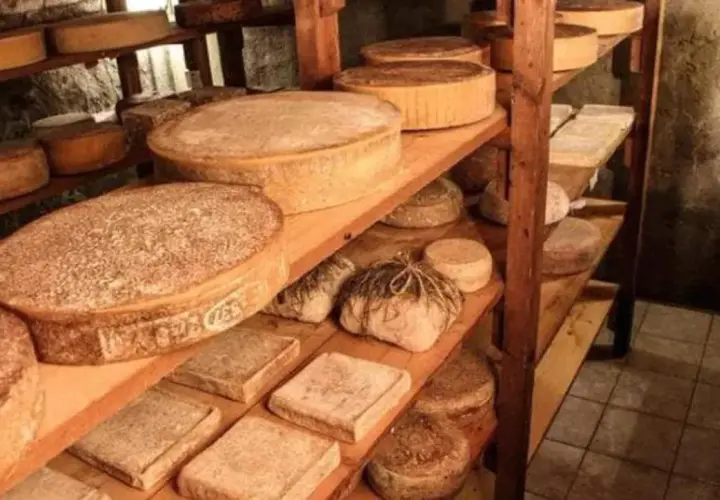 Formaggi stagionati su scaffali di legno, alcuni rotondi, altri rettangolari. Si percepisce la cura nella produzione del latte crudo.