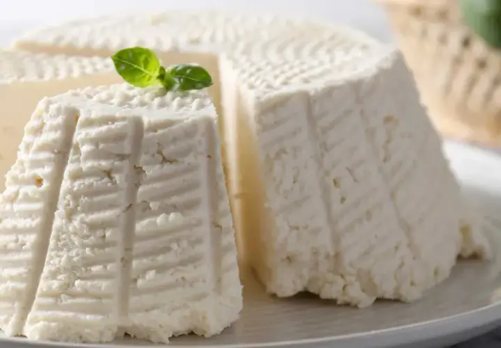 Formaggi freschi, uno a spicchi, con decorazioni a righe e un rametto di basilico. Perfetti per una deliziosa fonduta di Asiago.