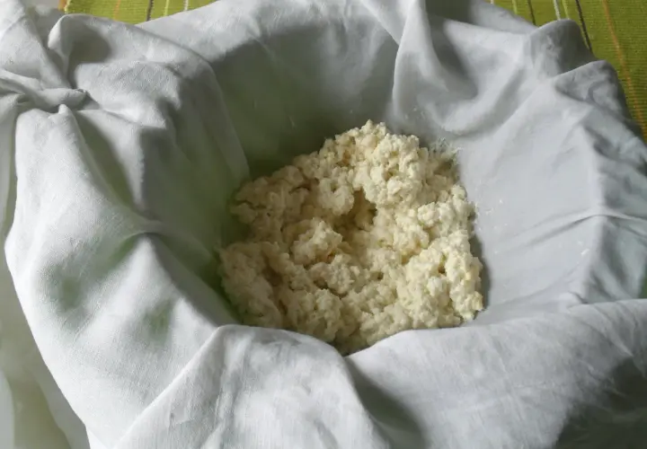 Fiocchi di latte o ricotta appena scolati, pronti per essere gustati.