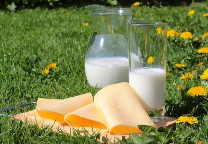 Fette fette di formaggio giallo su un tagliere, accanto a un bicchiere e una caraffa di latte, su un prato fiorito.