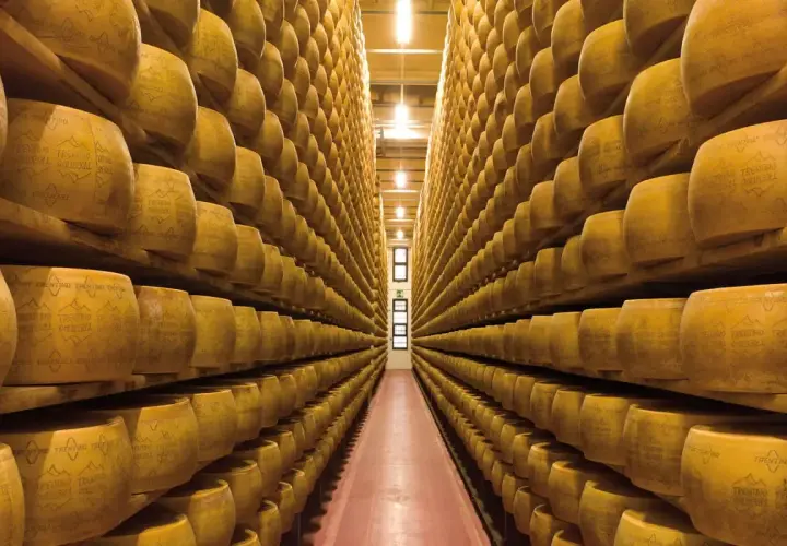 Corridoio infinito di forme di formaggio giallo, in attesa della stagionatura. Un'immagine che evoca sapori e tradizione.