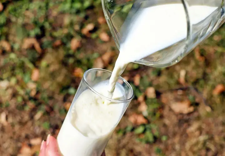 Versando latte in un bicchiere, un gesto che ricorda la scissione lattosio per chi ha intolleranze.
