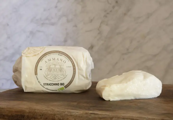 Stracchino bio Ammano, un formaggio fresco e cremoso, pronto per essere gustato.