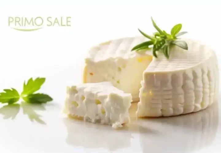 Primo Sale light: un formaggio fresco e leggero, perfetto per ogni occasione.