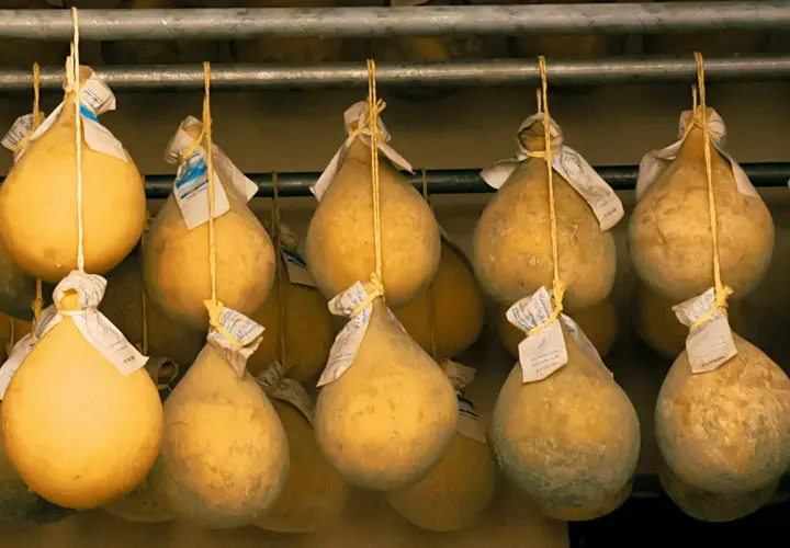 Forme di caciocavallo appese, alcune con muffa, pronte per stagionare. Ideali per chi cerca un caciocavallo lattosio.
