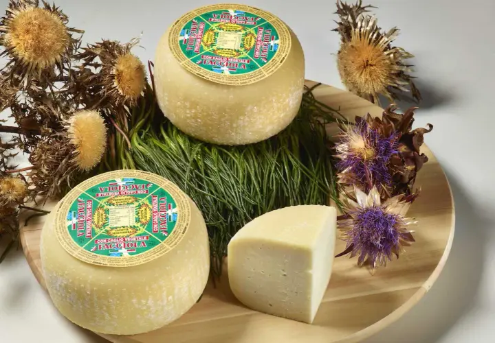 Formaggi rotondi e una fetta, con etichette che indicano "con caglio vegetale". Circondati da erbe verdi e fiori secchi.