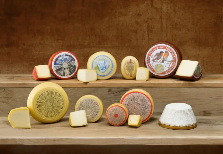 Varietà di formaggi freschi disposti su assi di legno. Alcuni interi, altri a spicchi, con etichette colorate e disegni.