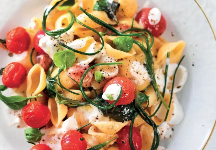 Conchiglie con pomodorini, basilico e una cremosa stracciatella. Un piatto fresco e invitante.