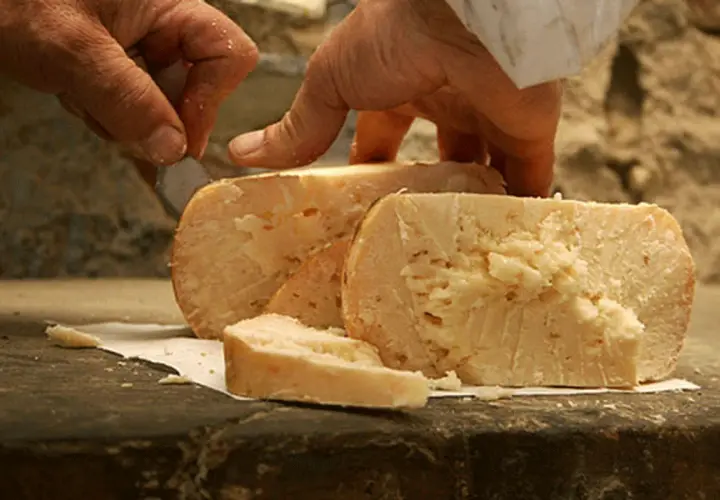 Mani che tagliano un pezzo di formaggio di fossa Talamello, dal sapore intenso e autentico.