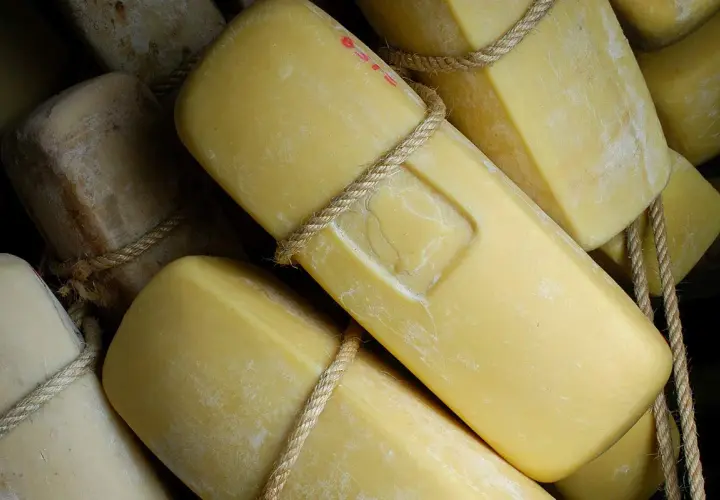 Formaggi siciliani stagionati, legati con corda, pronti per essere gustati.