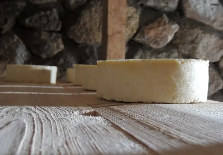 Formaggi freschi in fase di produzione, riposano su assi di legno grezzo. La pietra grezza fa da sfondo a questo momento di attesa.