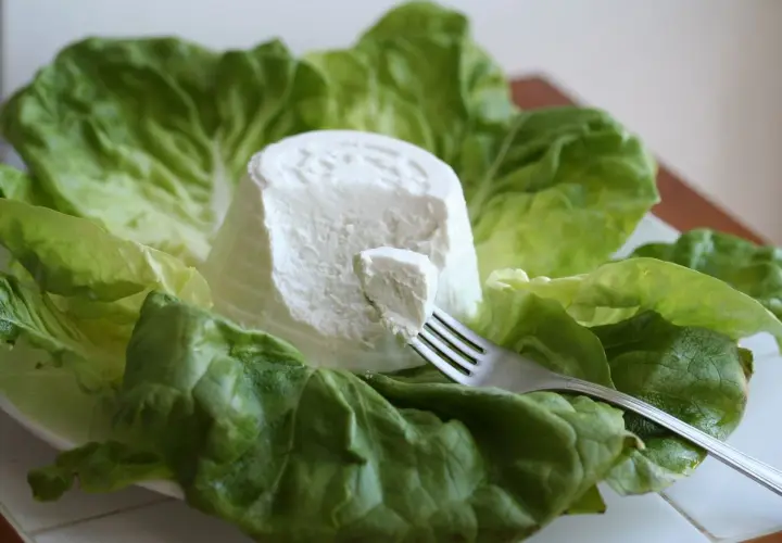Ricotta fresca su foglie di lattuga, un'opzione leggera per chi cerca poche calorie.