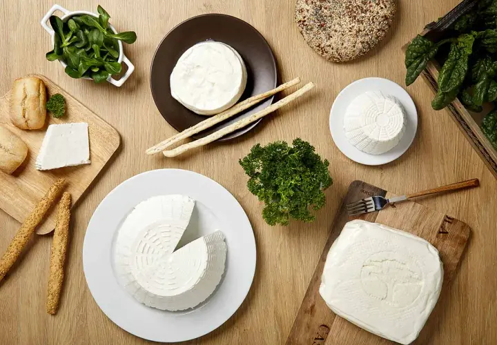 Vari tipi di formaggio fresco, tra cui lo squacquerone, un formaggio grasso, con pane, grissini e verdure su un tavolo di legno.