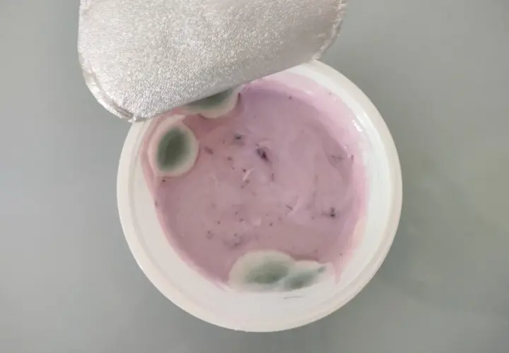 Yogurt viola con muffa verde visibile. La muffa nello yogurt indica che non è più commestibile.
