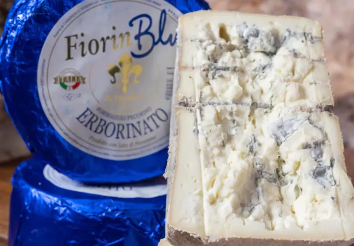Fiorin Blu, un formaggio con muffa nome Erborinato, mostra venature blu e verdi su una pasta bianca e friabile.