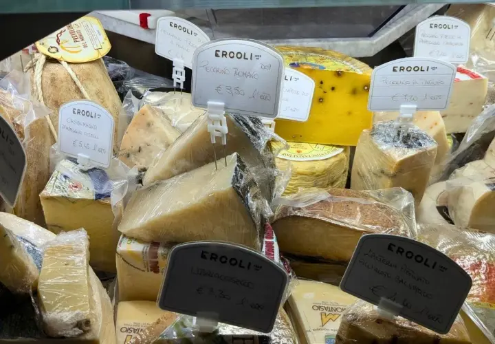 Vari tipi di formaggi in esposizione, tra cui il Pecorino Romano, per scoprire come si fa il pecorino.