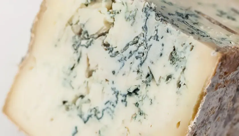 Un pezzo di taleggio con venature di muffa blu-verde che creano un disegno unico.