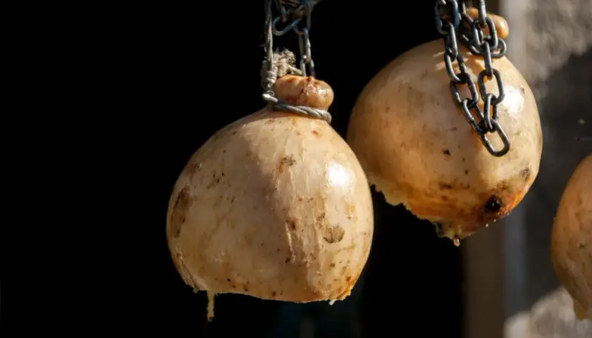 Forme di caciocavallo appese a catene. La forma a pera e il modo di legatura spiegano perchè si chiama caciocavallo.