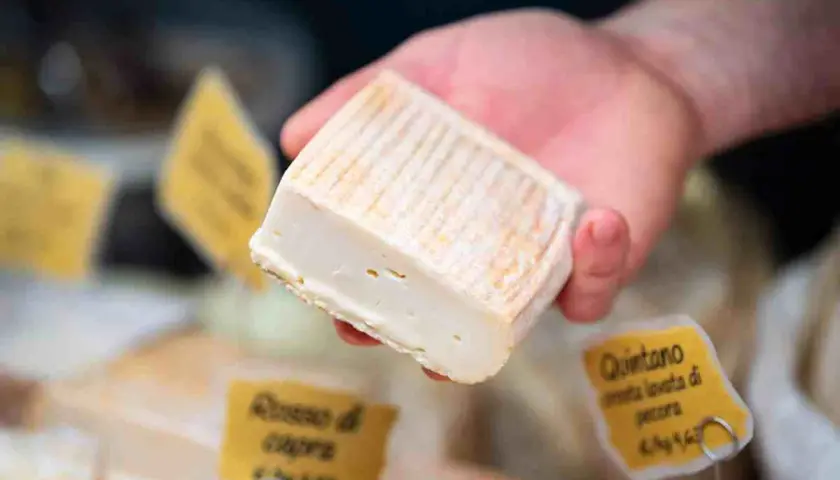 Un pezzo di formaggio morbido, forse perché si chiama stracchino, tenuto in mano. Sullo sfondo, altre forme di formaggio e cartellini gialli.