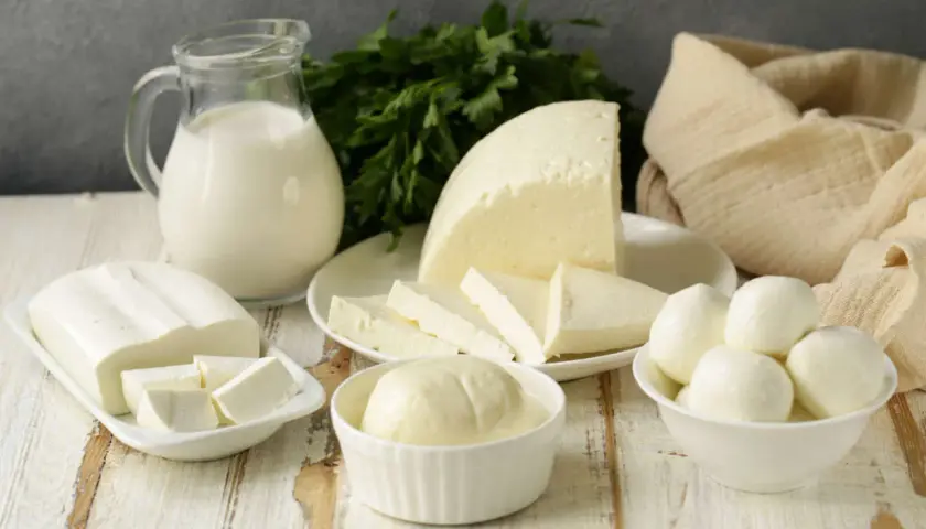 Varietà di formaggi freschi: una brocca di latte, ricotta, giuncata e mozzarelline.