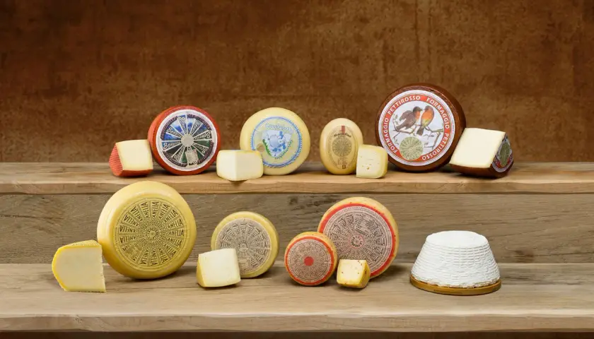 Varietà di formaggi italiani, da quelli stagionati a quelli freschi, un'esplosione di sapori per scoprire cos'è il formaggio.