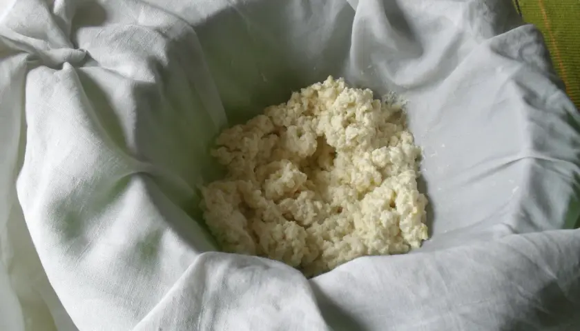 Fiocchi di latte o ricotta appena scolati, pronti per essere gustati.