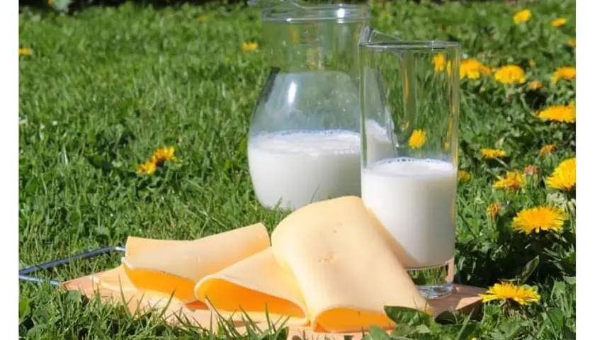 Fette fette di formaggio giallo su un tagliere, accanto a un bicchiere e una caraffa di latte, su un prato fiorito.