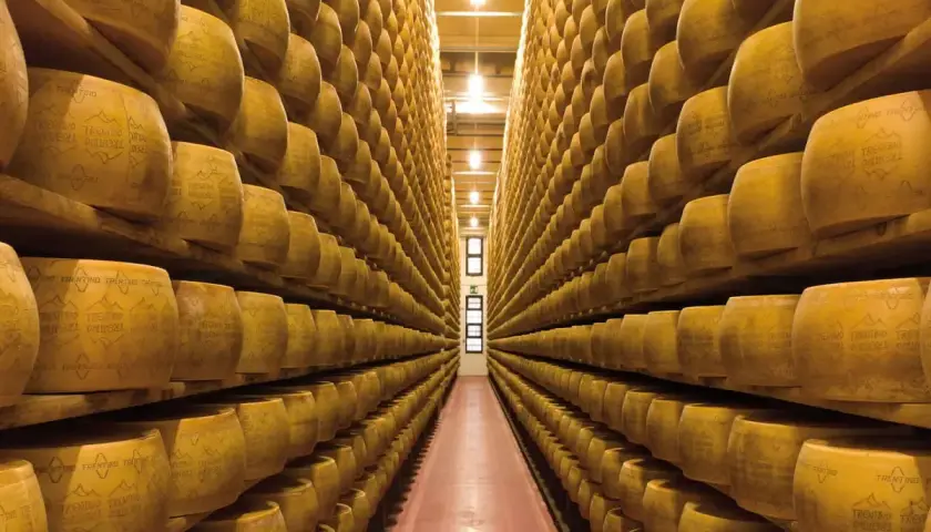 Corridoio infinito di forme di formaggio giallo, in attesa della stagionatura. Un'immagine che evoca sapori e tradizione.