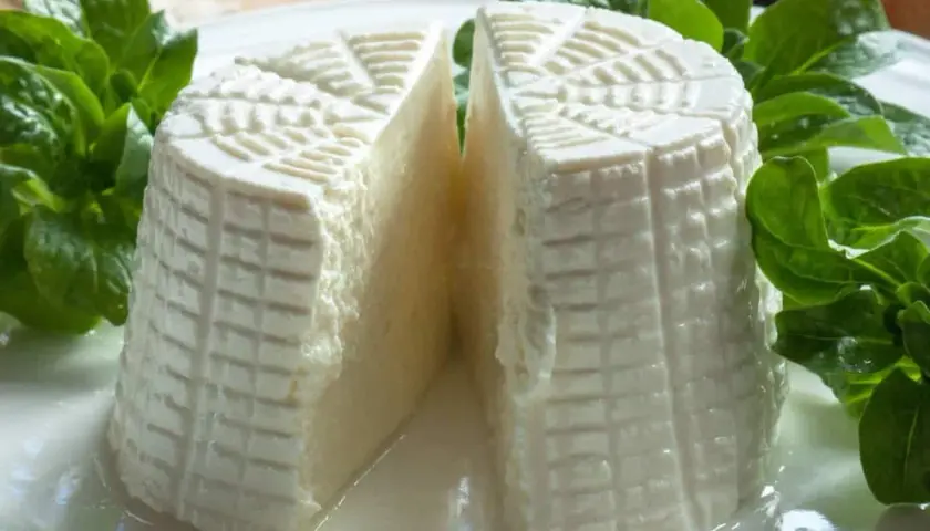 Formaggio fresco a forma cilindrica, tagliato a metà, con decorazioni a griglia. Se cerchi come sostituire la tuma, questo fresco latticino è un'ottima alternativa.