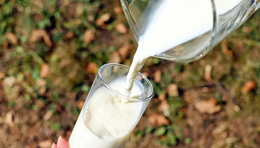 Versando latte in un bicchiere, un gesto che ricorda la scissione lattosio per chi ha intolleranze.