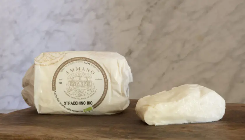 Stracchino bio Ammano, un formaggio fresco e cremoso, pronto per essere gustato.