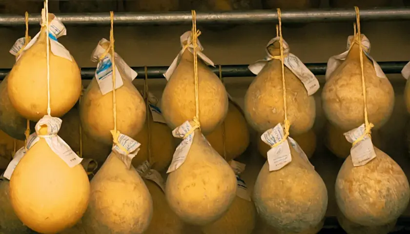 Forme di caciocavallo appese, alcune con muffa, pronte per stagionare. Ideali per chi cerca un caciocavallo lattosio.