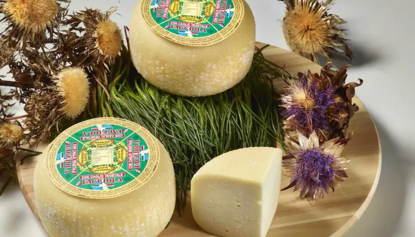 Formaggi rotondi e una fetta, con etichette che indicano "con caglio vegetale". Circondati da erbe verdi e fiori secchi.
