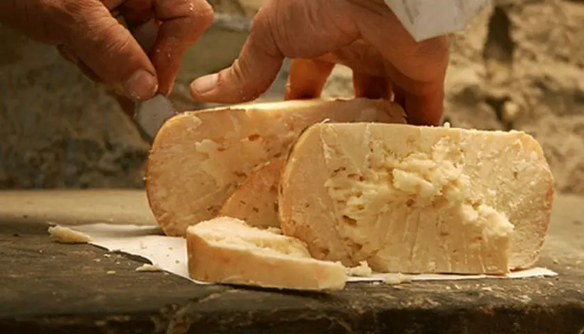 Mani che tagliano un pezzo di formaggio di fossa Talamello, dal sapore intenso e autentico.
